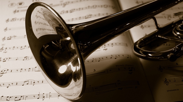 "Trumpet Macro" by Jameziecakes licensed under CC BY 2.0