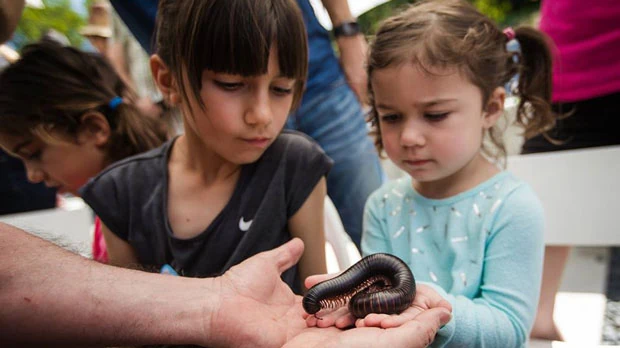 "Kids with millipede" Photo courtesy of SaveNature.Org