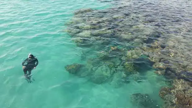 Scuba Diver in Reef