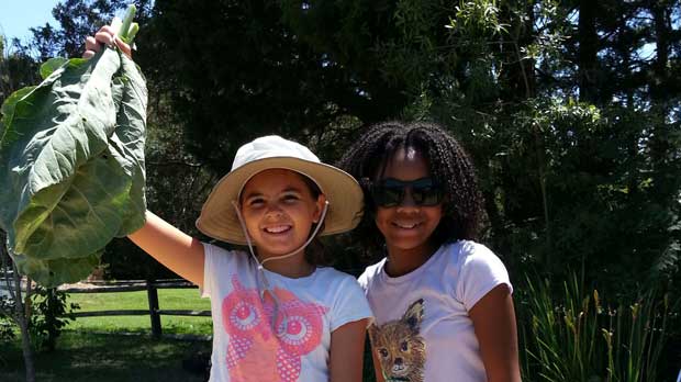 "Children at the farm" Photo courtesy of Arcadia Center for Sustainable Food & Agriculture 