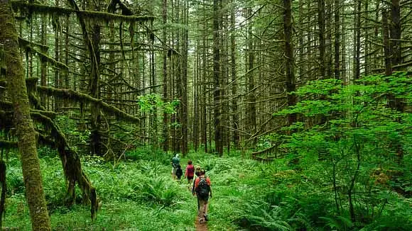 "Hike" by Loren Kerns licensed under CC BY 2.0